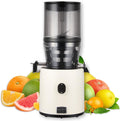 Hurom Extracteurs de jus à double vis, Noir, H-330P Deep Ivory