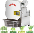 Oiyekntd trancheuse électrique, 28 × 26 × 38 cm, 200 W, 110 V/220 V, Acier inoxydable 304, Argenté, Trancheuse à oignons verts professionnelle