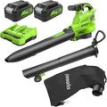 Greenworks Souffleurs de feuilles, 48 V, 24 V, 14.73 m, 45 L, 4 Ah, Noir, ( x 2) Aspirateur Souffleur Sans fil de Feuilles à Batterie Bandoulière